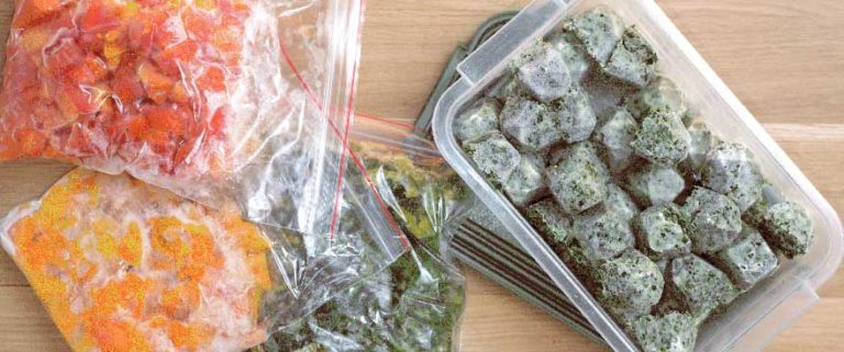 Comida Congelada - Introdução Alimentar Bebê 6 meses