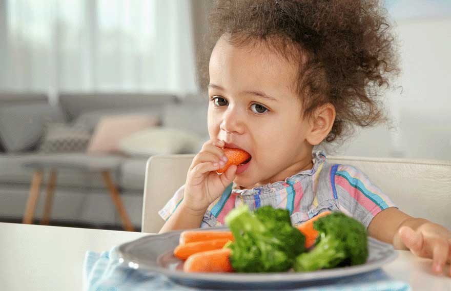 Introdução Alimentar - bebê vegerariano