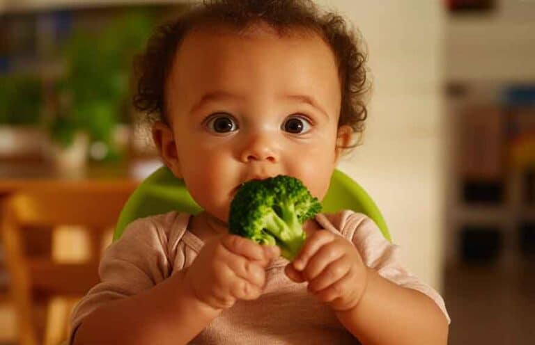 Cardápio para o bebê de 7 meses